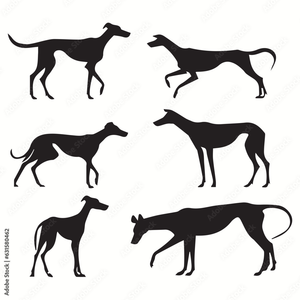 Whippet silhouettes and icons. black flat color simple elegant Whippet animal vector and illustration.