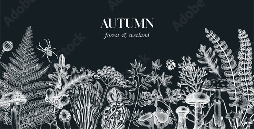 Sketched autumn background on chalkboard. Vector illustration with ferns, mushrooms, fall leaves, berries and autumn plant sketches. Vintage banner design template. Nature border, botanical print