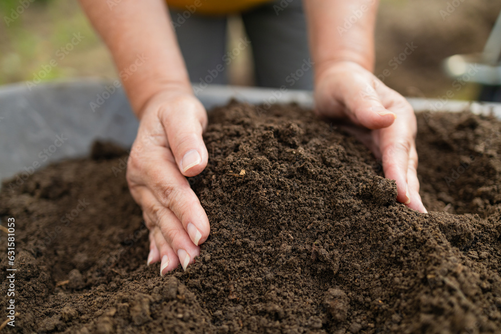 Female hands touching soil on the field. Expert hand of farmer checking soil health before growth a seed of vegetable or plant seedling. Business or ecology concept. High quality photo Female hands touching soil on the field. Expert hand of farmer checking soil health before growth a seed of vegetable or plant seedling. Business or ecology concept. High quality photo