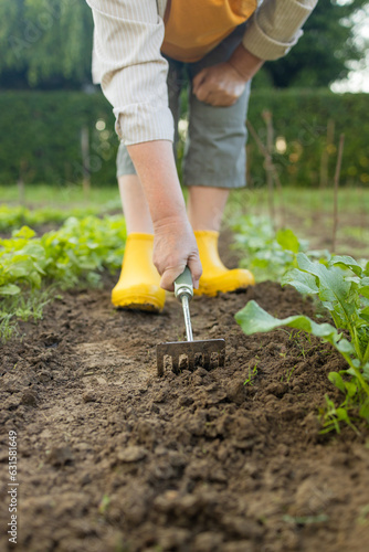 Young woman farmer works with a rake in a field in spring. Preparing the soil before planting. Close-up of a rake in the hands of a woman. High quality photo