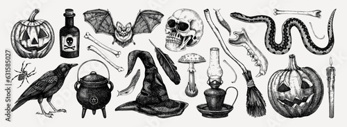 Halloween vector illustrations set. Skull, bones, potions, pumpkin head, poisonous mushrooms, snakes, raven sketches. Hand drawn witchcraft and magic element for Halloween design, print, decoration