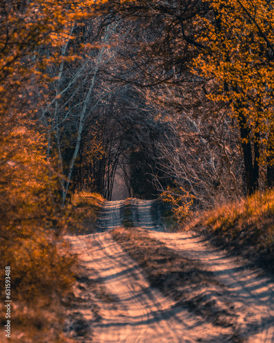 Beautiful autumn dirt road