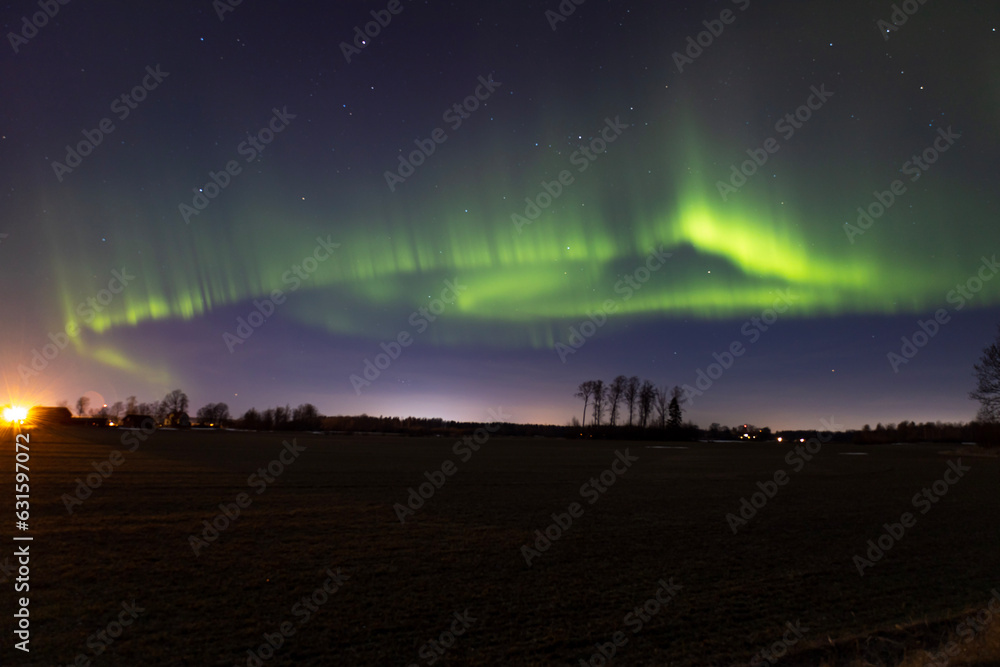 Northern lights over the field