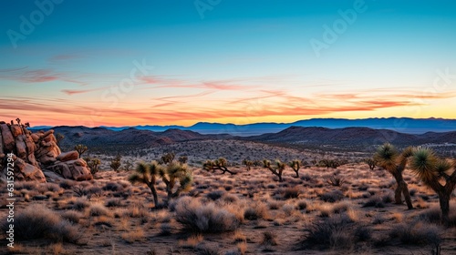 Sunset over Arid Mohave Desert Landscape in Yucca Valley California - Flora and Brush Highlighting Dry Horizon (16:9): Generative AI photo