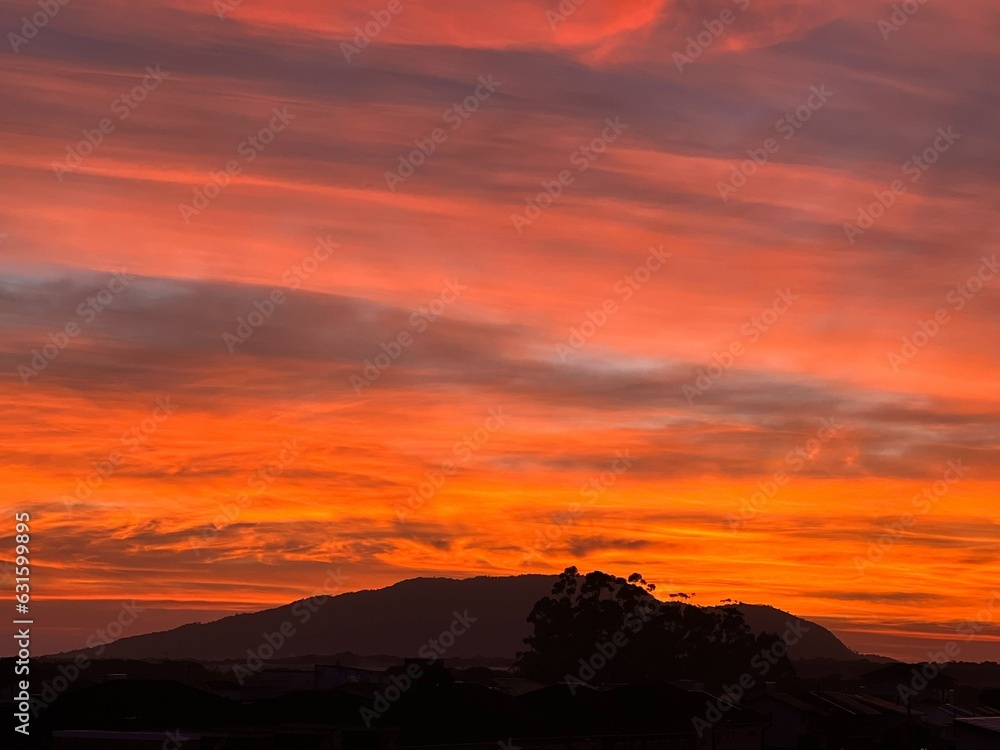 Céu Alaranjado no Amanhecer / Dia / Orange Sky at Dawn / Day