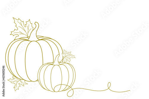 harvest pumkins line art style. organic vegetable garden. thanksgiving, halloween element vector