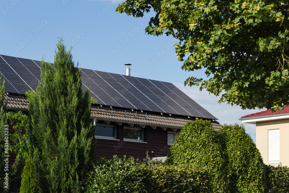 new building with solar panel on rooftop and garden green tree bush new building with solar panel on rooftop and garden green tree bush