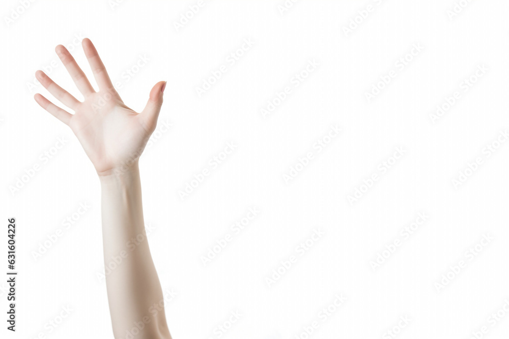 Female hands isolated on white background. High quality photo Female hands isolated on white background. High quality photo