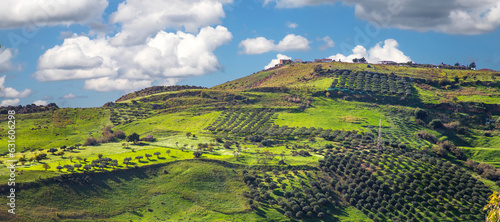 beautiful mountain hills with houses and rows of trees.