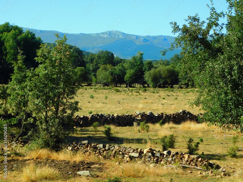 rural landscapes in la Carballeda region in the Zamora province