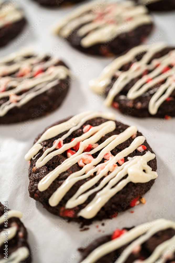 Chocolate cookies with peppermint chips