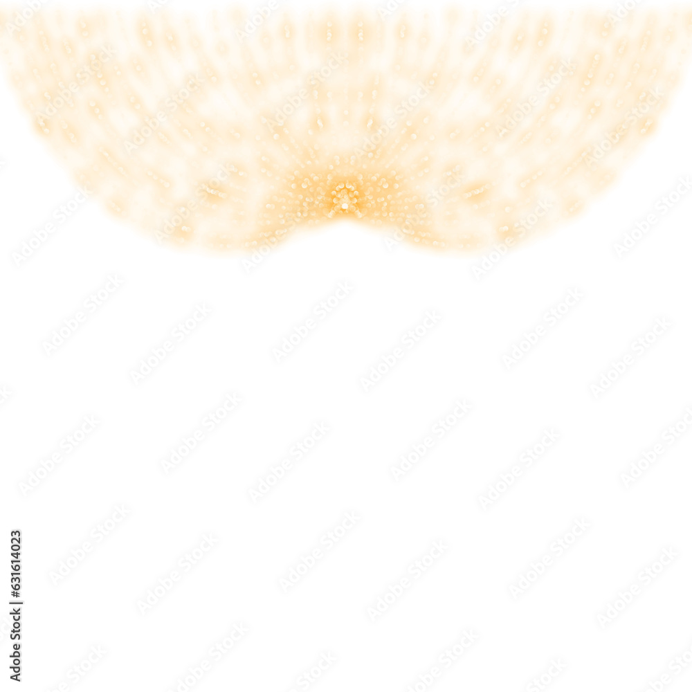 Fairy lights overlay, Christmas New Year lights, string lights, overlay, bokeh