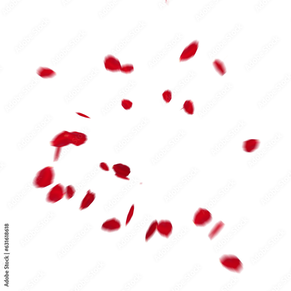Floating red rose petal isolated on white. Background concept for love greetings on valentines day and mothers day. Space for text. rose for love Beautiful floral overlay with flying pink petals at tr - obrazy, fototapety, plakaty 