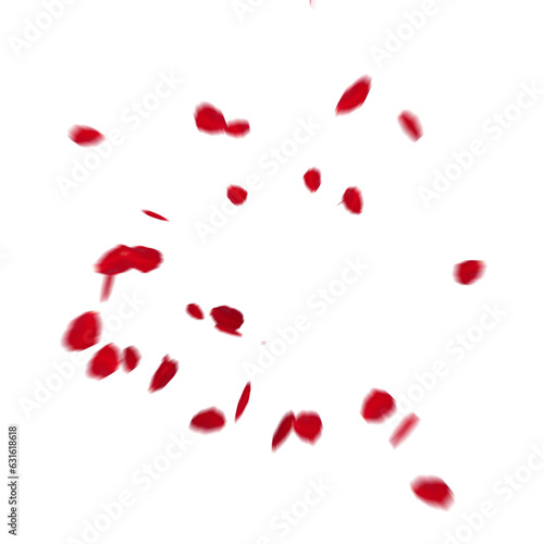 Fototapeta Naklejka Na Ścianę i Meble -  Floating red rose petal isolated on white. Background concept for love greetings on valentines day and mothers day. Space for text. rose for love Beautiful floral overlay with flying pink petals at tr