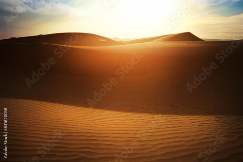 Sand dunes at sunset in the Sahara Desert  Morocco