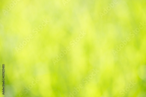 Soft green trees blurred nature background.