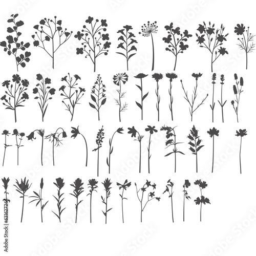 Print op canvas Wildblumen