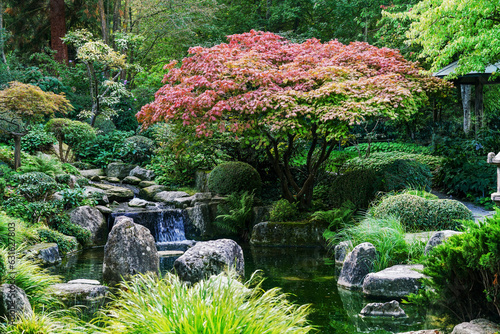 Small but beautiful japanese garden in Wurzburg with artificial creek (I think), waterfalls, japanese maple