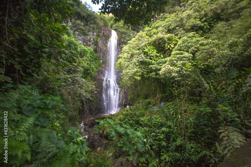  island of Maui in Hawaii with a waterfall photo