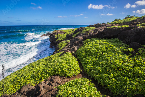 Landscape beach and ocean view on the island of Maui in Hawaii 