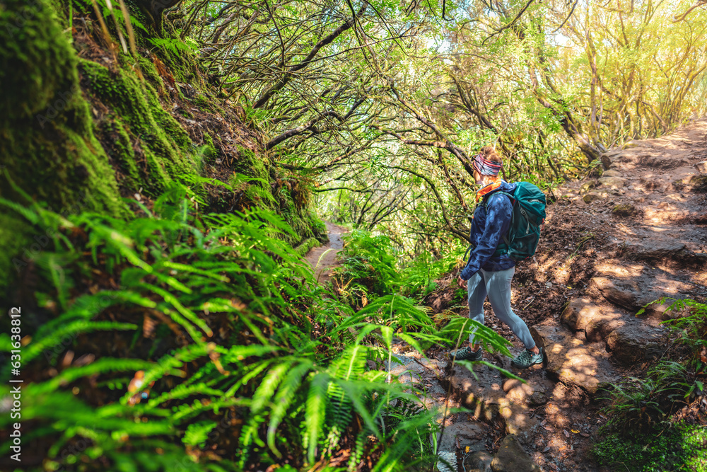 Female tourist with backpack hiking down tree overgrown, staiy trail through a green forest on a sunny day. 25 Fontes Waterfalls, Madeira Island, Portugal, Europe. Female tourist with backpack hiking down tree overgrown, staiy trail through a green forest on a sunny day. 25 Fontes Waterfalls, Madeira Island, Portugal, Europe.