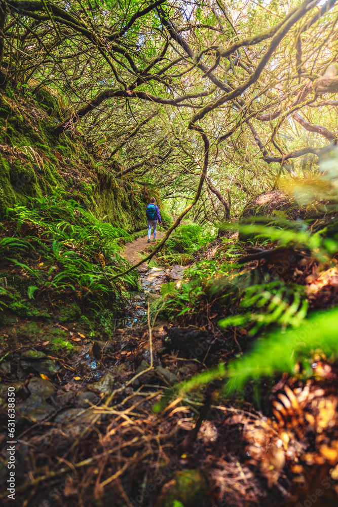 Tourist with backpack walking along staiy trail through a green forest on a sunny day. 25 Fontes Waterfalls, Madeira Island, Portugal, Europe. Tourist with backpack walking along staiy trail through a green forest on a sunny day. 25 Fontes Waterfalls, Madeira Island, Portugal, Europe.