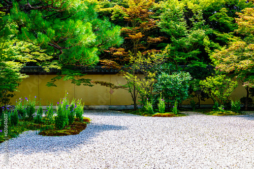 京都、蘆山寺の「源氏の庭」