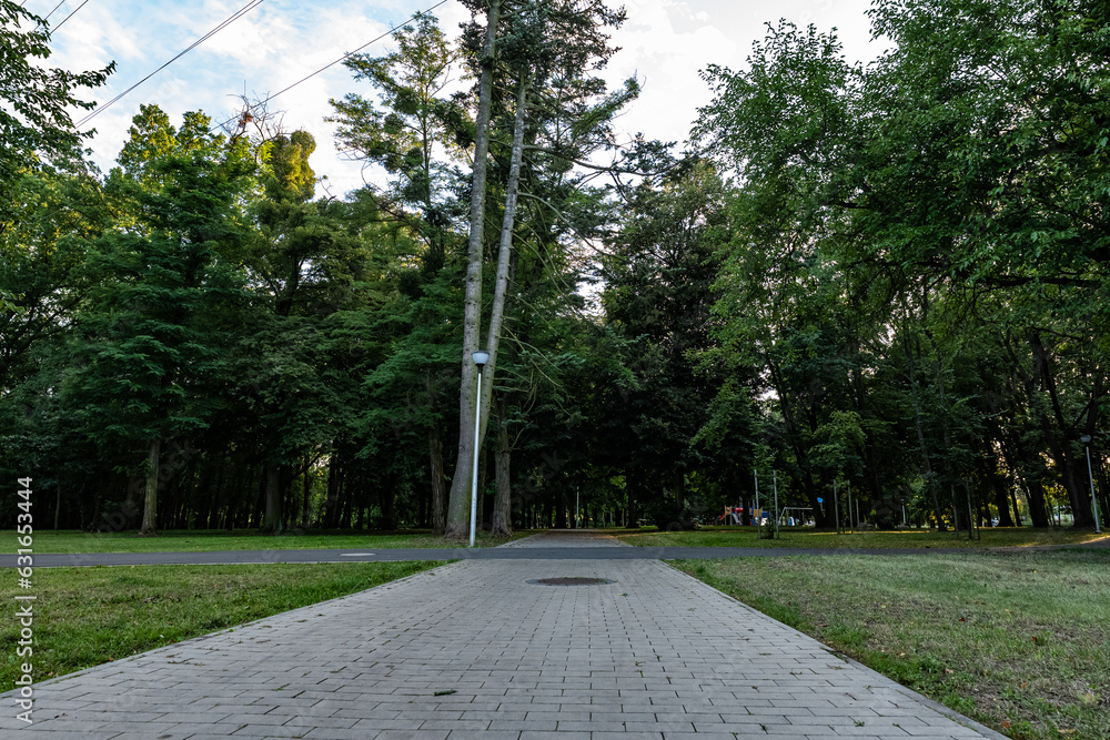 Chodnik ciągnący się przez park o letniej porze w obszarach podmiejskich zachodniej Polski - obrazy, fototapety, plakaty 