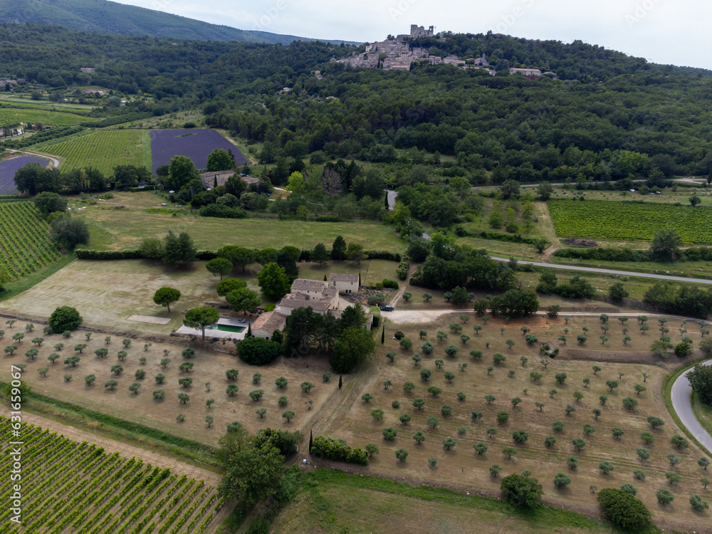 Obraz premium Aerial view on rows of vineyards, green fiels and Lacoste village in Luberon, Provence, France in July