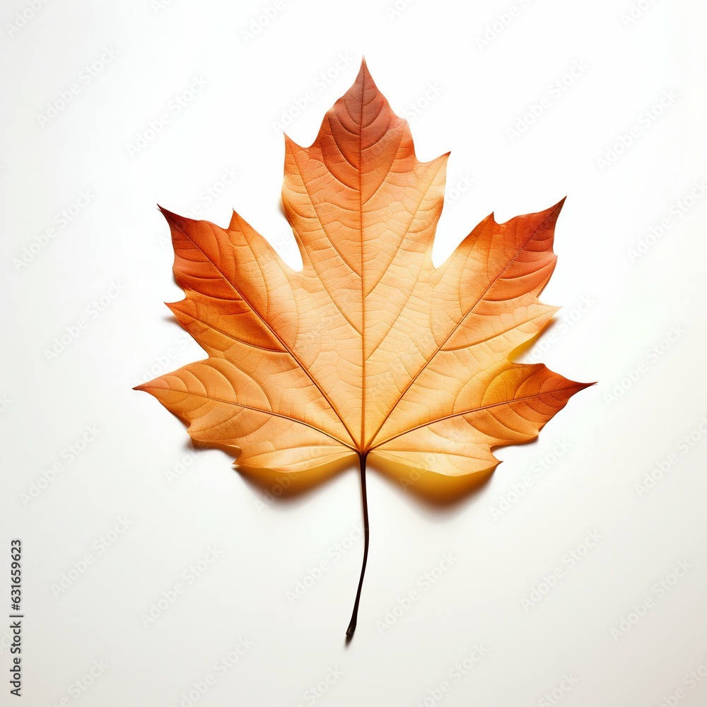 Autumn Leaf Isolated on White Background. Generative ai Autumn Leaf Isolated on White Background. Generative ai