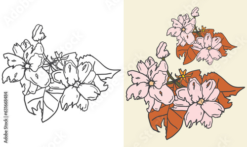 Illustration of withered jasmine flower torn and with holes