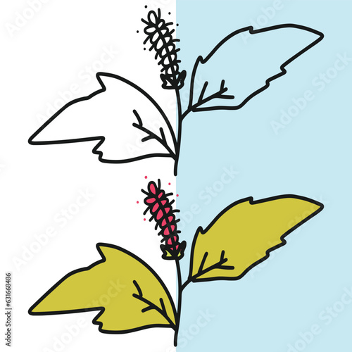 Flat modern flower icon, editable vector file for all of your graphic needs