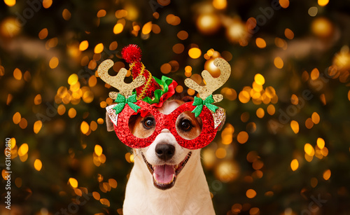 Fotografia Dog in party glasses with reindeer horns, celebrates the New Year