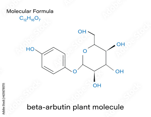 Alpha-arbutin plant molecule skeletal formula. Vector