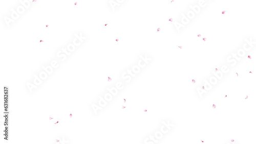 桜の花びら散る 背景素材 α素材