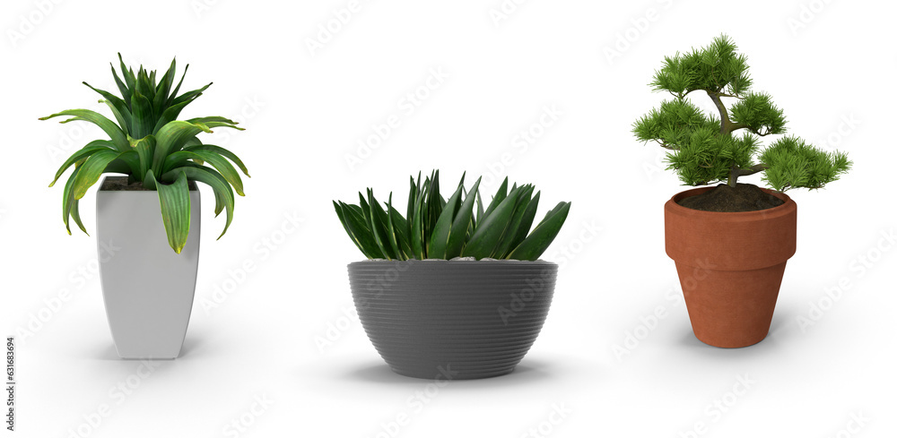 flower pot with plants for home decoration isolated on transparent background flower pot with plants for home decoration isolated on transparent background