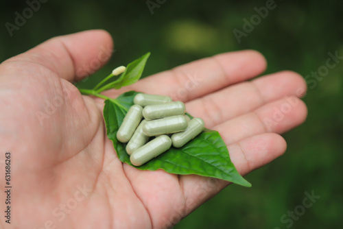 organic harbal capsule from  nature herb for health care eating in daily life  on hand photo