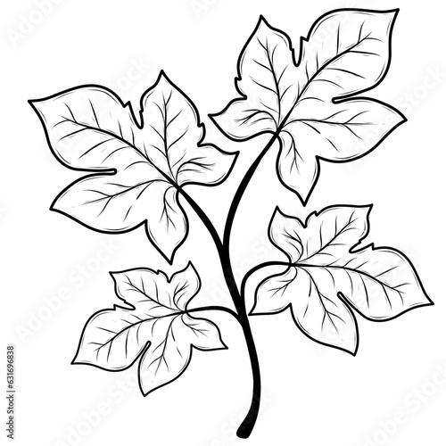 leaves isolated on white	