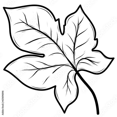 leaves isolated on white	
