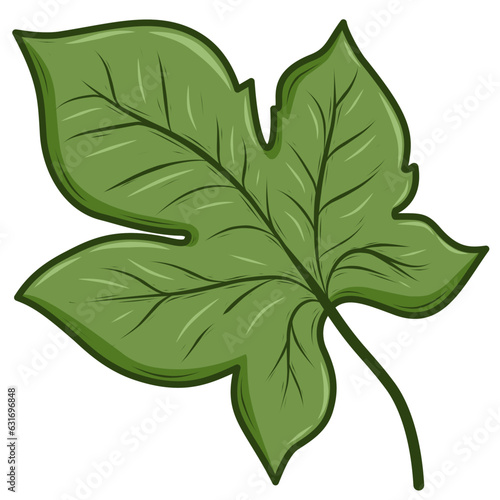 leaves isolated on white	