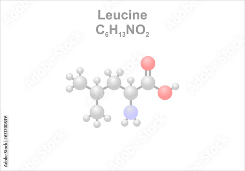 Leucine. Simplified scheme of the molecule. Essential amino acid and food additive.