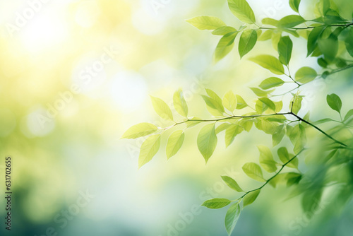 Spring or summer season abstract nature background  soft light photography