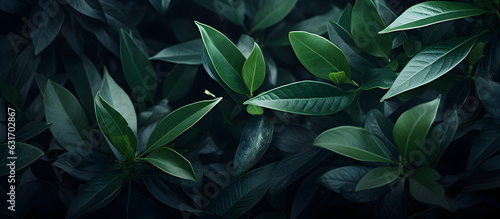 beautiful green plant background banner with a touch of luxury