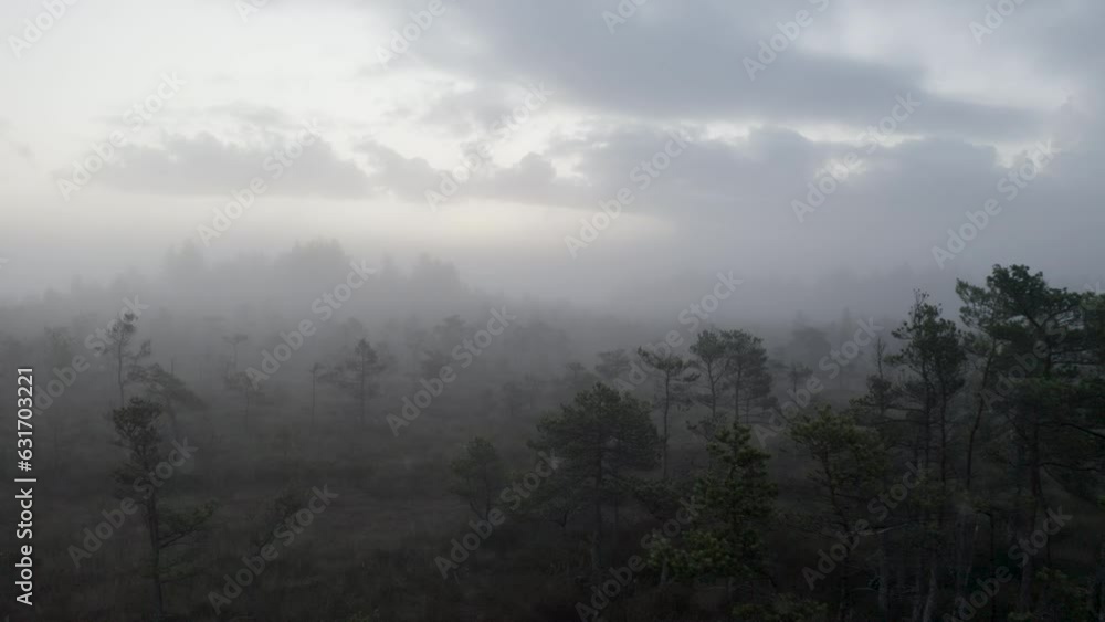 Aerial cinematic view of a swamp covered in mist with some trees during sunrise with clouds on a Summer day giving a slightly eerie and ominous feeling. Nr.2 Aerial cinematic view of a swamp covered in mist with some trees during sunrise with clouds on a Summer day giving a slightly eerie and ominous feeling. Nr.2