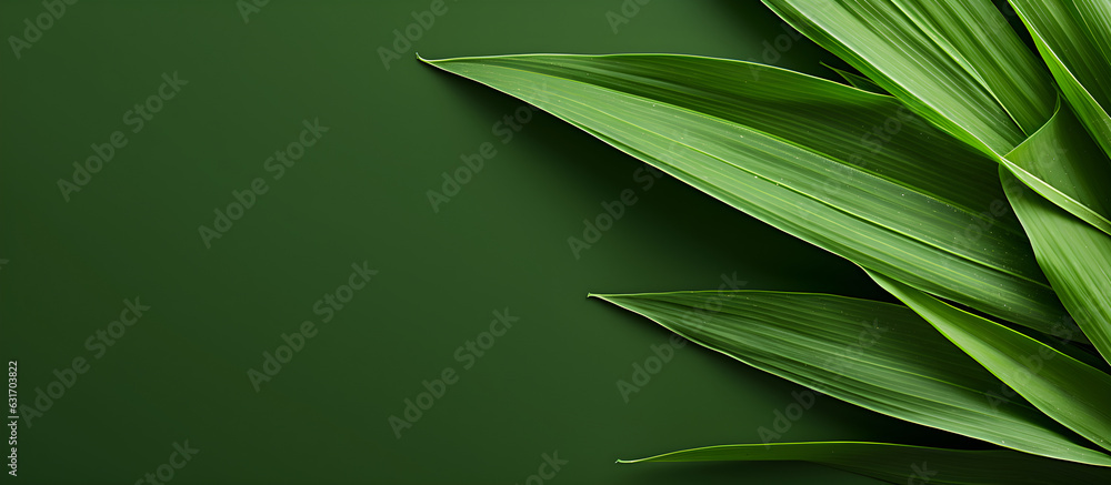 Plant background material, nature background, green leaves, close-up, banner Plant background material, nature background, green leaves, close-up, banner