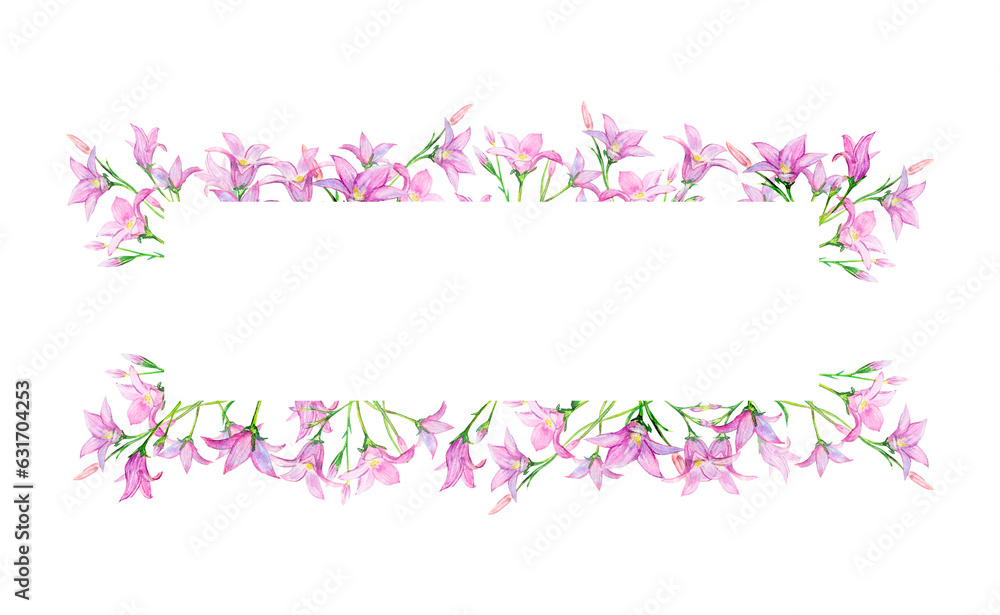 Field bluebell watercolor illustration rectangle frame from delicate flowers hand-drawn on white background. Meadow wildflowers for inscription, congratulation, invitation, cards. Floral illustration