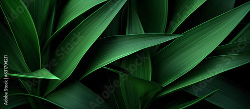 Wallpaper Mural Plant background material, nature background, green leaves, close-up, banner Torontodigital.ca