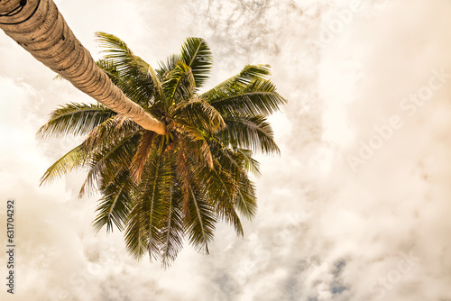 Coconut trees by the sea against a clear sky