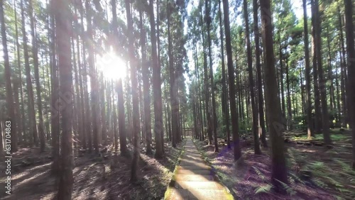 Mysterious path to a hidden Japanese old shrine in the Kyoto forest by FPV drone photo