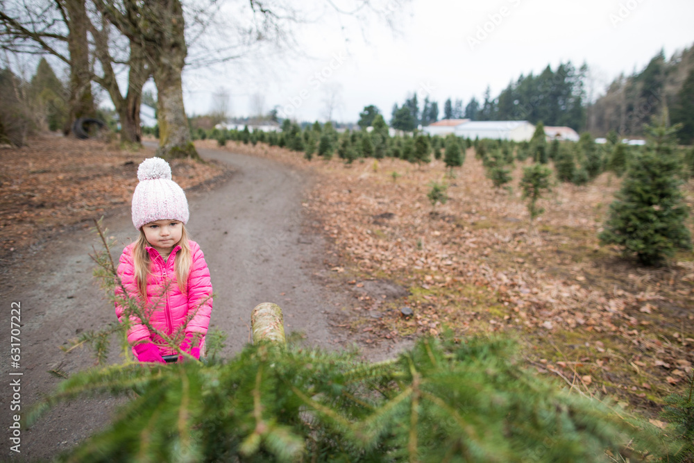 Selective focus on young girl pulling Christmas tree at farm Selective focus on young girl pulling Christmas tree at farm